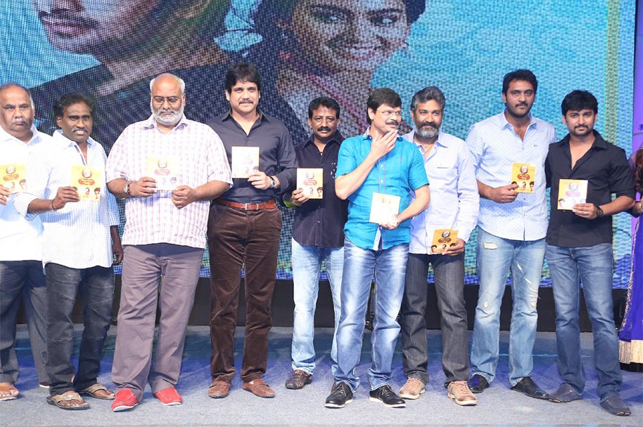 Dikkulu-Choodaku-Ramayya-Movie-Audio-Launch